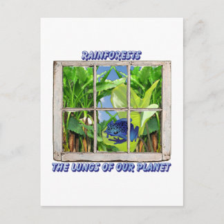 Look Through Any Window Postcard