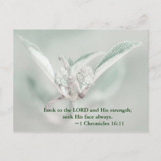 Look to the LORD and his strength; seek his face a Postcard