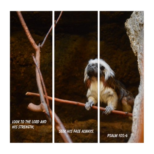 Look to the LORD Cotton_Top Tamarin Canvas Print Triptych