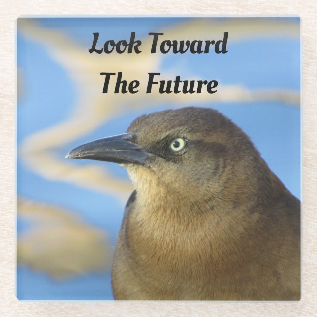 Look Toward Future Blackbird Stare Graduation Glass Coaster (Front)