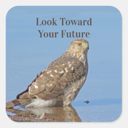 Look Toward Future Wild Raptor Bird Hawk Graduate Square Sticker