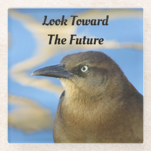 Look Toward the Future Blackbird Inspirational Glass Coaster