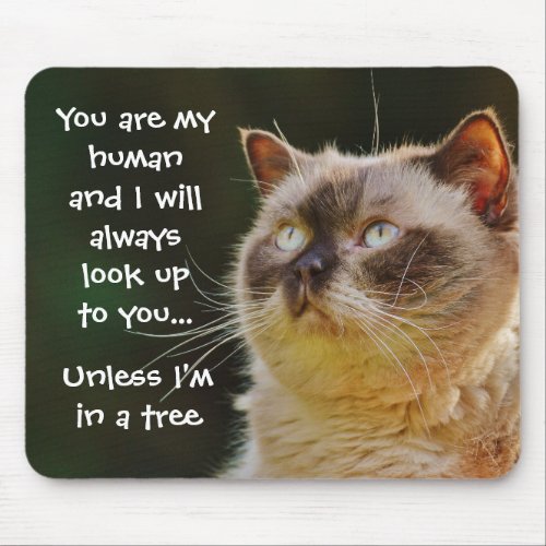 Look Up To You Funny Cat Slogan Mouse Pad