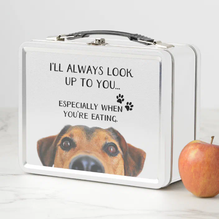 Look Up To You Funny Dog Message Metal Lunch Box Zazzle Com