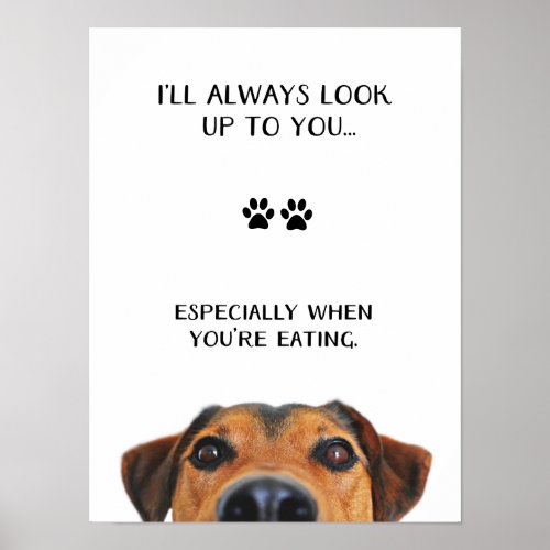 Look Up To You Funny Dog Message Poster