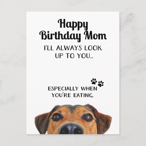 Look Up To You Funny Happy Birthday Mom Postcard