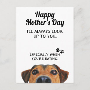 Look Up To You Funny Mothers Day PostCard From Dog