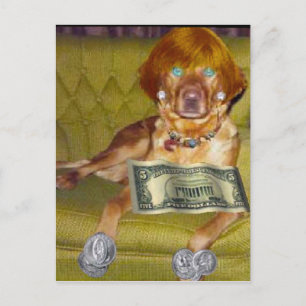 LOOK WHAT I DO FOR MONEY POSTCARD