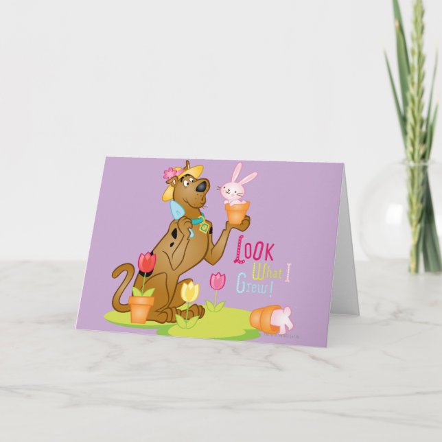 Look What I Grew Holiday Card (Front)