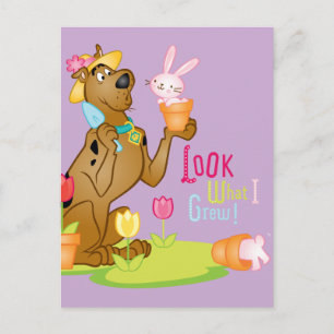 Look What I Grew Postcard