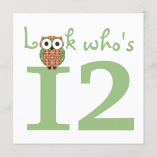 Look Who's 12 Owl Birthday Party Invitation