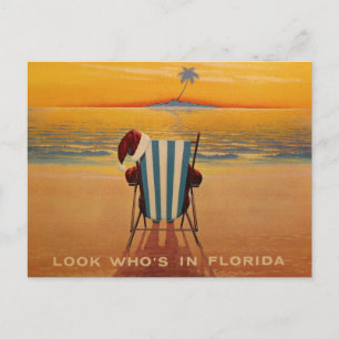 Look Who's in Florida Holiday Postcard