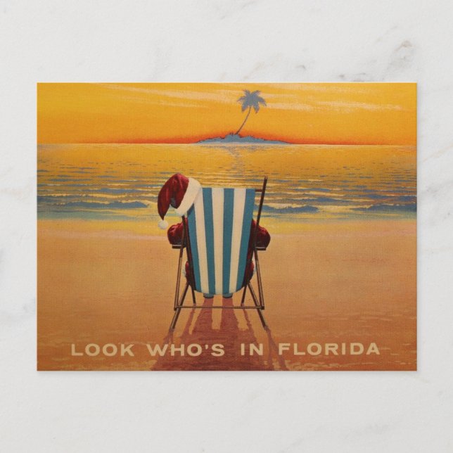 Look Who's in Florida Holiday Postcard (Front)