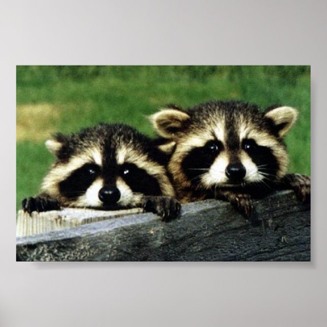 lookin at ya poster (Front)