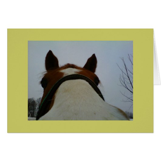 Lookin' at You Card (Front Horizontal)