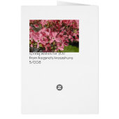 lookin' for somethin' sweet?? (Back)