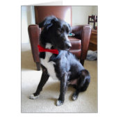 Lookin' More Fab (Front)