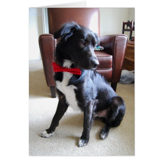 Lookin' More Fab (Front)