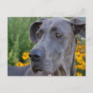 Lookin' Pretty Postcard