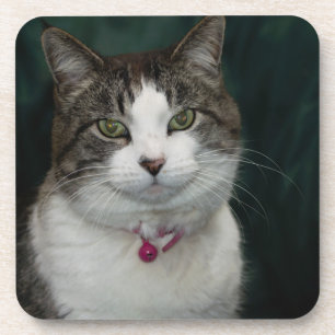 Looking at You Looking at Me Drink Coaster
