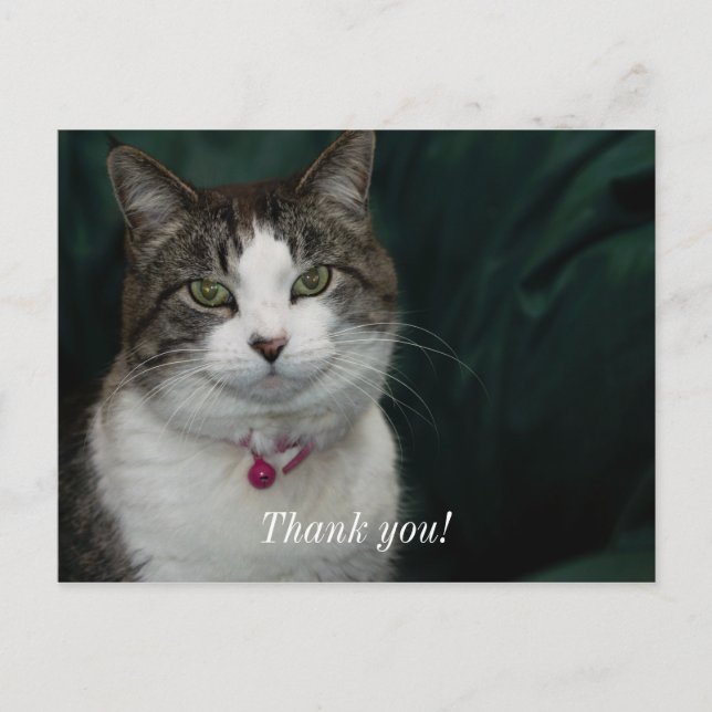 Looking at You Looking at Me Thank You Postcard (Front)