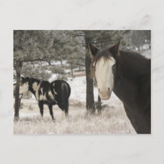 Looking at you postcard