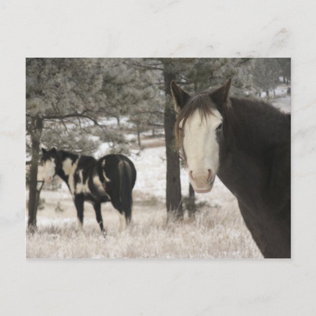 Looking at you postcard (Front)