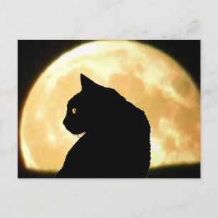 Looking Back Black Cat and Full Moon Postcard