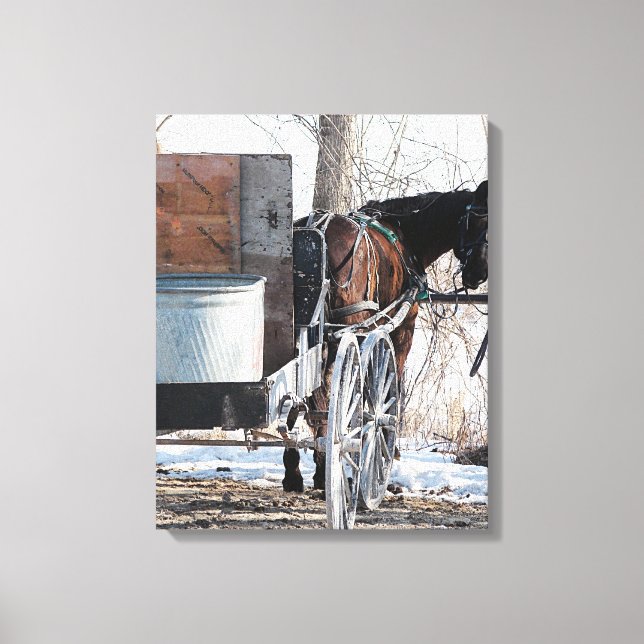 Looking Back Canvas Print (Front)