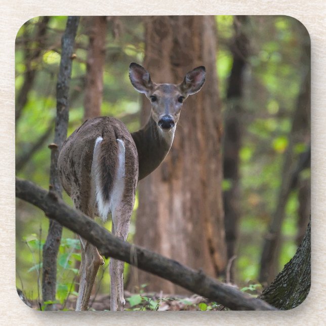 Looking Back Painterly Beverage Coaster (Front)