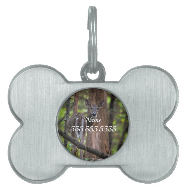 Looking Back Painterly Pet ID Tag (Front)