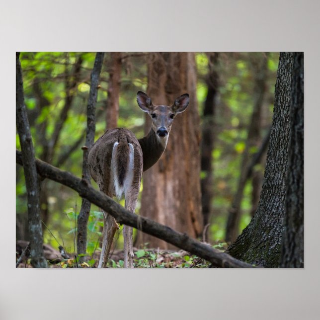 Looking Back Painterly Poster (Front)