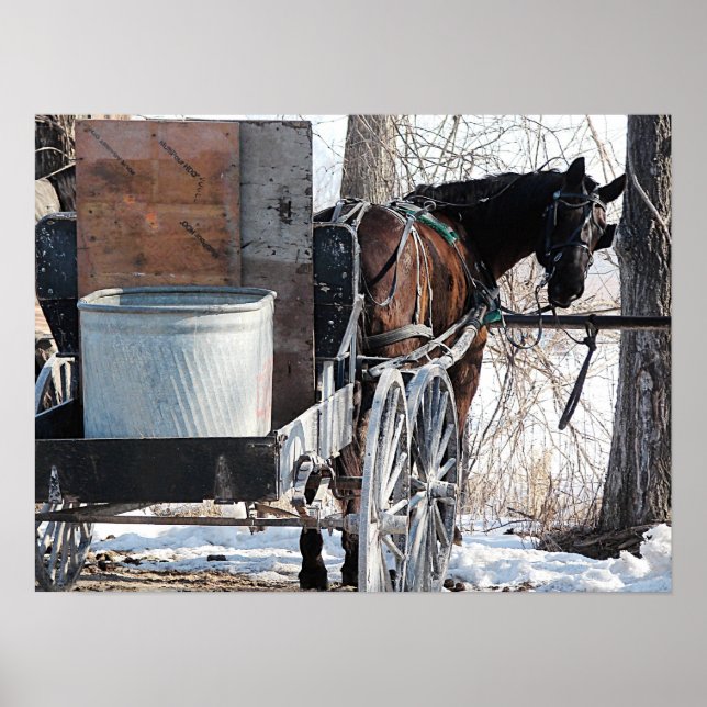 Looking Back Poster (Front)