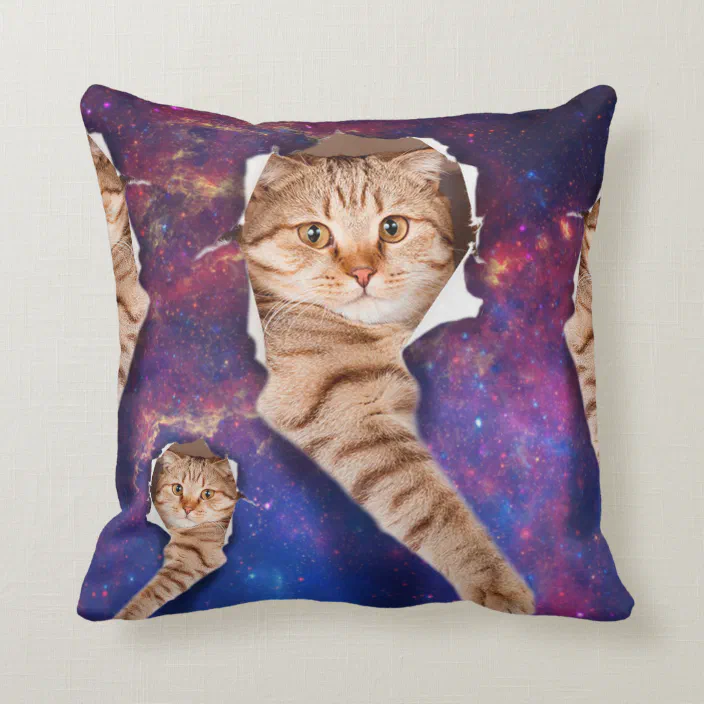 Cats VS Everything Funny Ew People Cat Merchandise Accessories Gifts Throw Pillow 16x16 Multicolor 