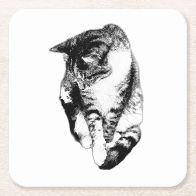 Looking Down Tabby Cat Monochrome Coaster (Front)