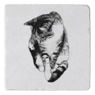 Looking Down Tabby Cat Monochrome Coaster
