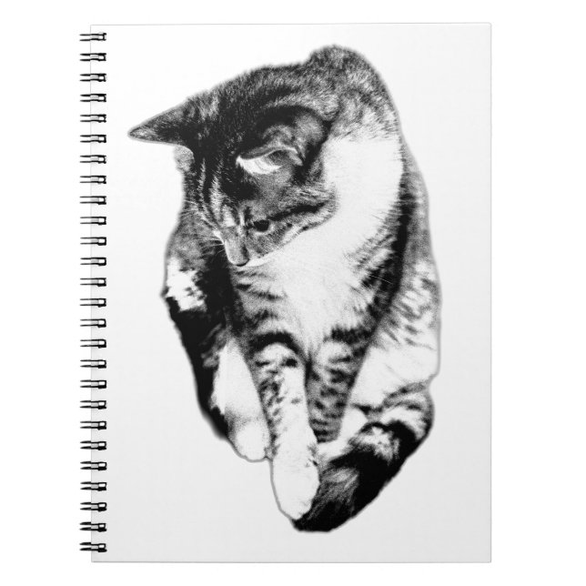 Looking Down Tabby Cat Monochrome Notebook (Front)