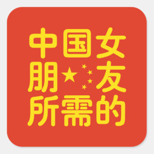 Looking for a Chinese Girlfriend ~ Hanzi Language Square Sticker