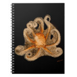 Looking For A Hug Notebook (80 Pages B&amp;w) at Zazzle