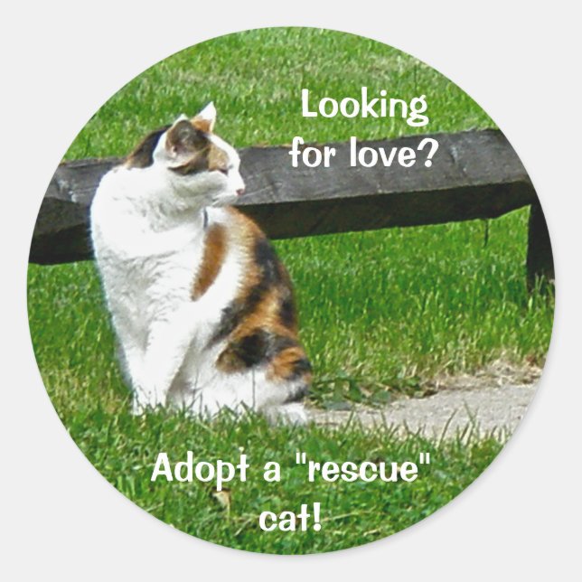 Looking for love? Adopt a "rescue" cat! Stickers (Front)
