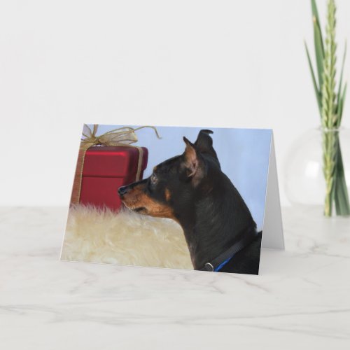 Looking for Santa Min Pin Dog Card