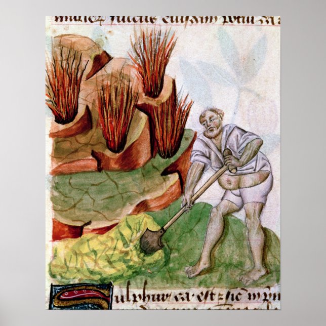 Looking for Sulfur,  Dioscorides' 'De Herbis' Poster (Front)