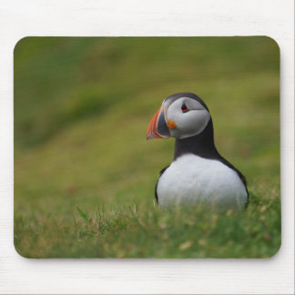 Looking for the Burrow Puffin Mouse Pad