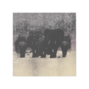 Looking for water,best abstract digital art