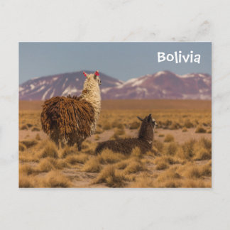 Looking Forward Postcard