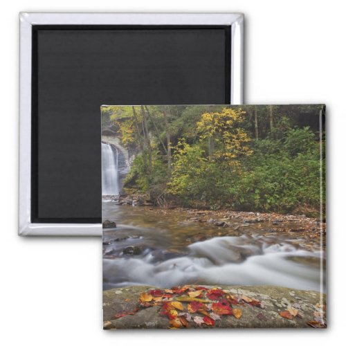 Looking Glass Falls in the Pisgah National Magnet