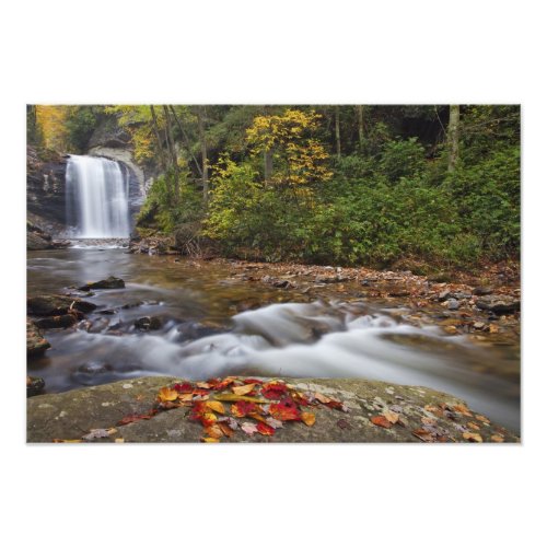 Looking Glass Falls in the Pisgah National Photo Print