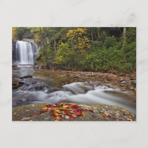 Looking Glass Falls in the Pisgah National Postcard