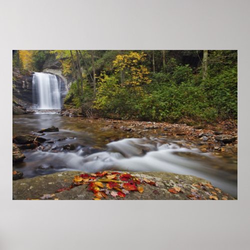 Looking Glass Falls in the Pisgah National Poster