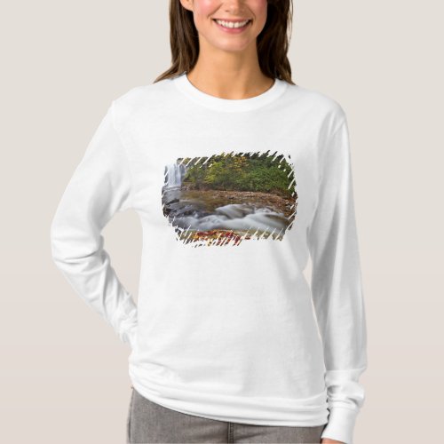Looking Glass Falls in the Pisgah National T_Shirt